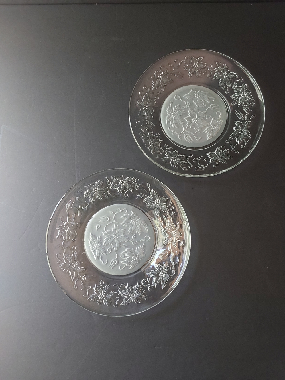 Princess House Fantasia Salad Plates (2)